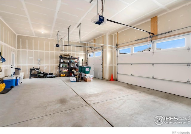 316 Rhubarb Dr, Berthoud, CO 80513 - photo 30