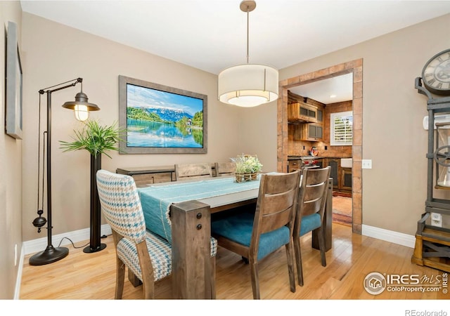 5125 Stetson Creek Ct Unit D, Fort Collins, CO 80528 - dining space with light wood-type flooring and baseboards