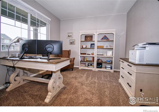 office space featuring baseboards and carpet floors