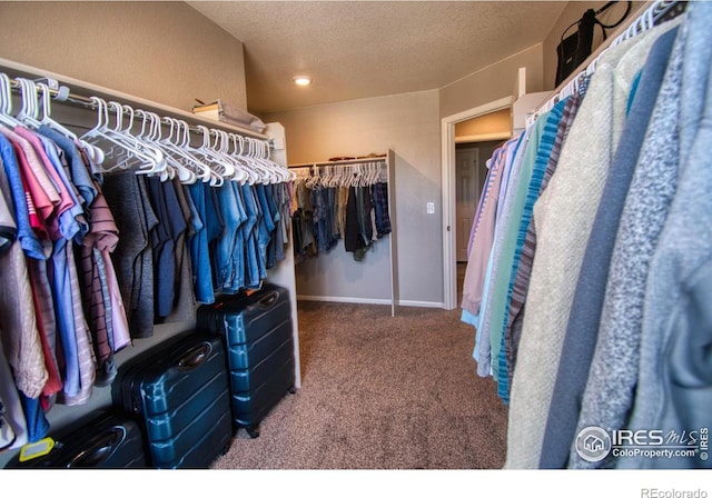 spacious closet with carpet