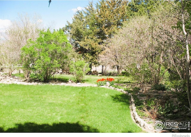 view of yard
