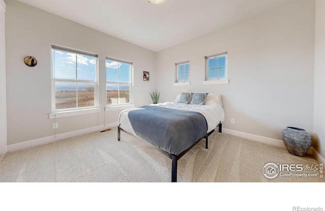 1563 Stoneseed St, Berthoud, CO 80513 - bedroom featuring baseboards, carpet flooring, and visible vents