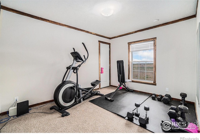 41830 County Road 84, Briggsdale, CO 80611 - photo 24
