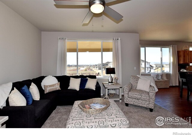 8512 8th St, Greeley, CO 80634 - photo 5