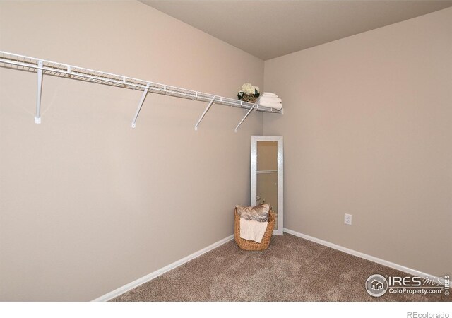 8512 8th St, Greeley, CO 80634 - photo 20