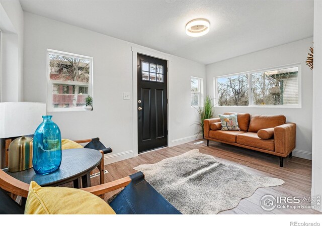 219 N Washington Ave, Loveland, CO 80537 - photo 4