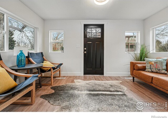 219 N Washington Ave, Loveland, CO 80537 - photo 5