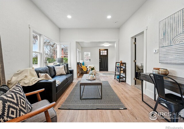 219 N Washington Ave, Loveland, CO 80537 - photo 9
