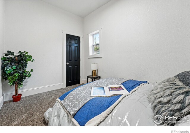 219 N Washington Ave, Loveland, CO 80537 - photo 18