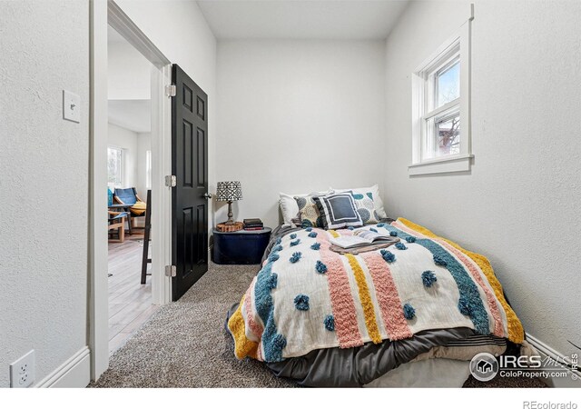 219 N Washington Ave, Loveland, CO 80537 - photo 20