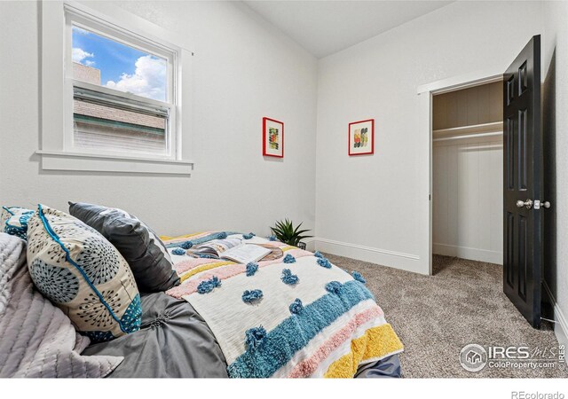 219 N Washington Ave, Loveland, CO 80537 - photo 21