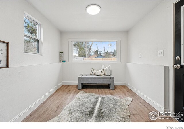 219 N Washington Ave, Loveland, CO 80537 - photo 24