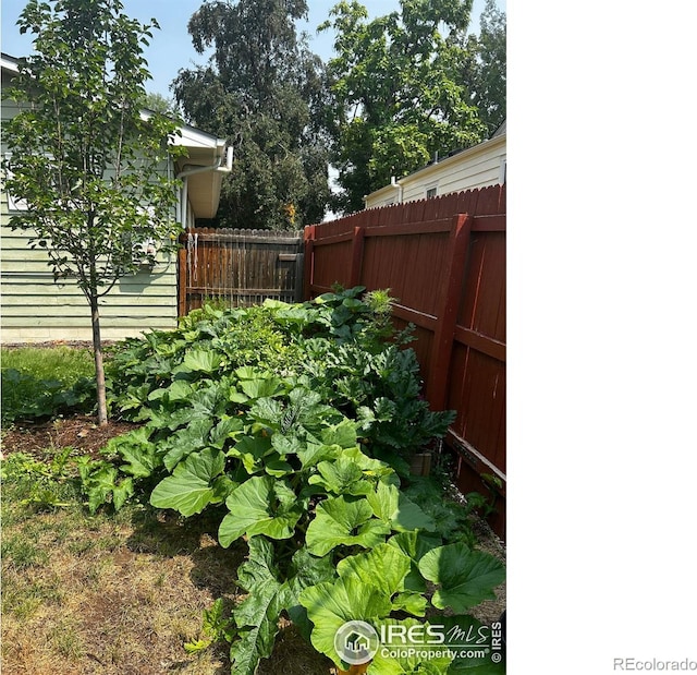 117 Welch Ave, Berthoud, CO 80513 - view of yard