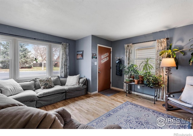 117 Welch Ave, Berthoud, CO 80513 - living area featuring wood finished floors and baseboards