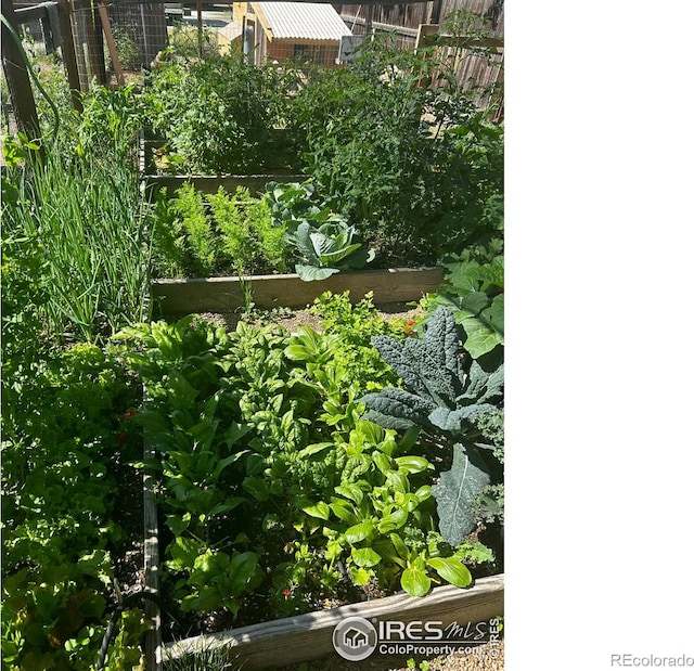 117 Welch Ave, Berthoud, CO 80513 - exterior view of a vegetable garden