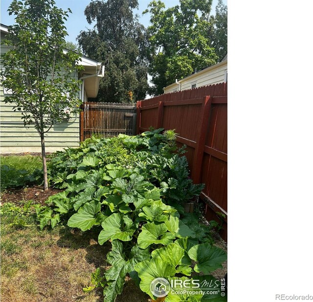 117 Welch Ave, Berthoud, CO 80513 - view of yard