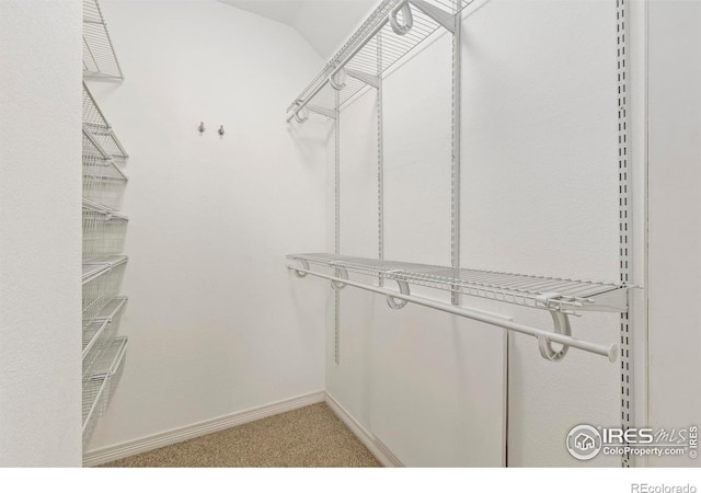 1827 Prairie Ridge Dr, Fort Collins, CO 80526 - spacious closet with lofted ceiling and light colored carpet