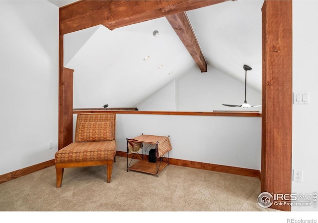 65 Lake Trail Ct, Winter Park, CO 80482 - photo 21