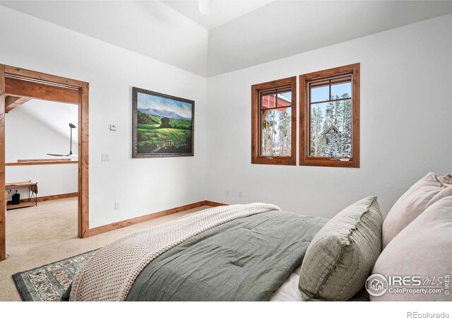 65 Lake Trail Ct, Winter Park, CO 80482 - photo 23