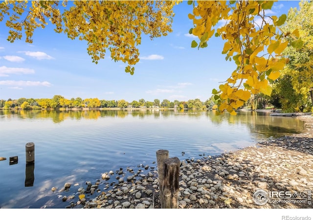1315 Kirkwood Dr Unit 804, Fort Collins, CO 80525 - view of water feature