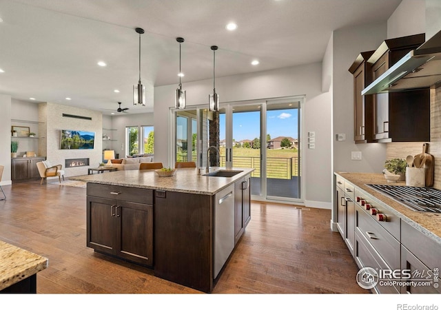 5977 Crooked Stick Dr, Windsor, CO 80550 - kitchen featuring wall chimney exhaust hood, dark brown cabinetry, dark wood-style floors, appliances with stainless steel finishes, and a ceiling fan