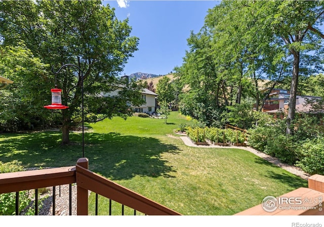 1117 Barberry Ct, Boulder, CO 80305 - view of green lawn with a mountain view