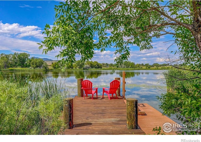 4514 Hoot Owl Dr, Berthoud, CO 80513 - dock area with a water view