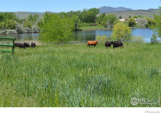 4514 Hoot Owl Dr, Berthoud, CO 80513 - water view featuring mountains, rural landscape, and fence