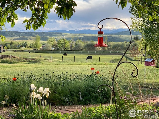 4514 Hoot Owl Dr, Berthoud, CO 80513 - view of community with a view of countryside and a mountain view