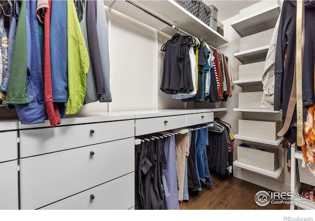 501 W Linden St, Louisville, CO 80027 - walk in closet with dark wood-style flooring