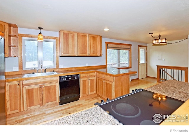 1230 Brook Dr, Estes Park, CO 80517 - photo 13