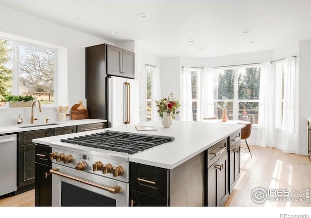 kitchen with light countertops, a sink, premium appliances, and a healthy amount of sunlight