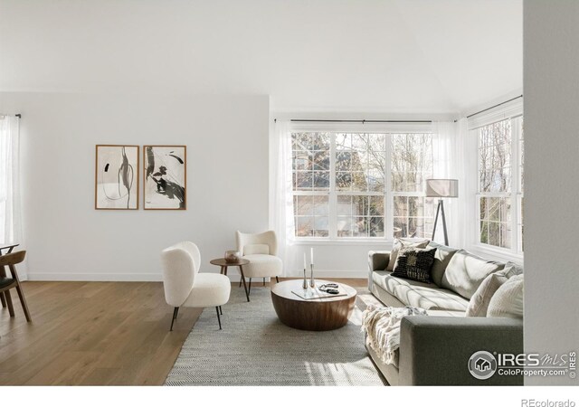 living room featuring baseboards, lofted ceiling, and wood finished floors