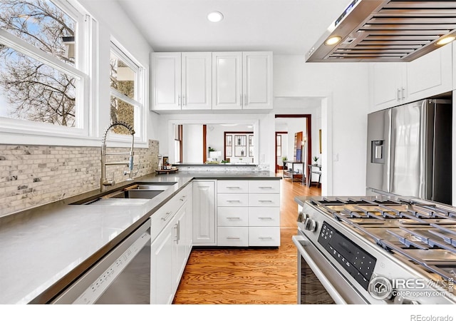 kitchen with white cabinets, exhaust hood, a sink, and stainless steel appliances
