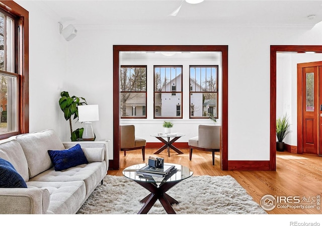 living room with baseboards, crown molding, wood finished floors, and a ceiling fan