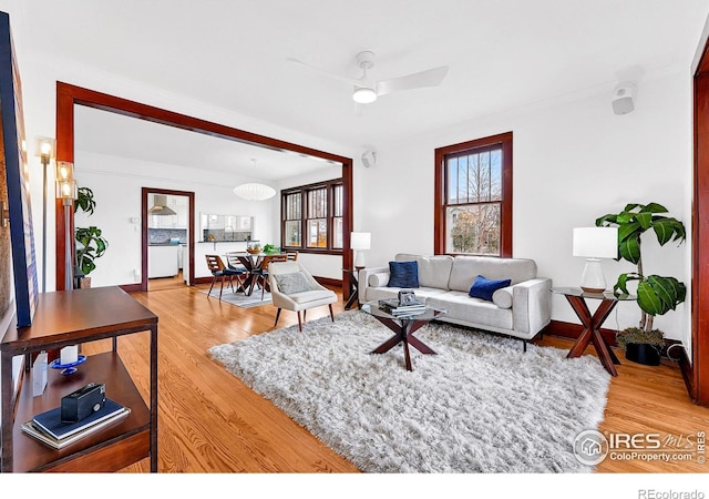 living area with light wood finished floors and ceiling fan