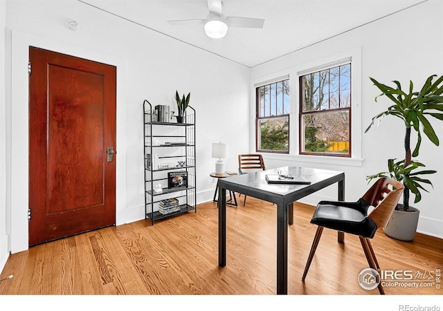 office space featuring baseboards, light wood finished floors, and ceiling fan