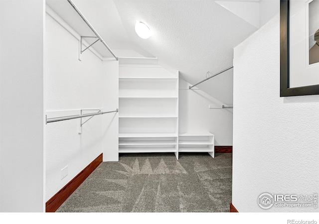 walk in closet featuring carpet flooring