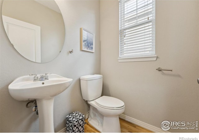 2908 Golden Harvest Ln, Fort Collins, CO 80528 - photo 14