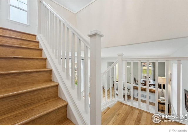 2908 Golden Harvest Ln, Fort Collins, CO 80528 - photo 15