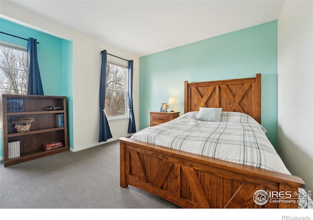 2908 Golden Harvest Ln, Fort Collins, CO 80528 - photo 25