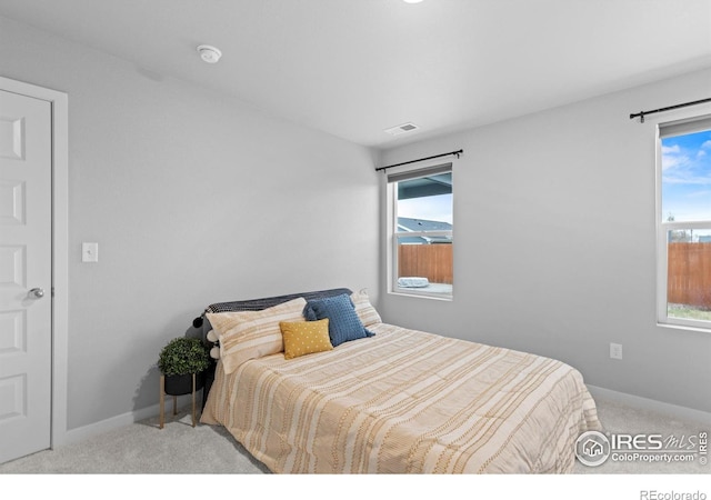 702 S Fulton Ave, Fort Lupton, CO 80621 - carpeted bedroom with multiple windows