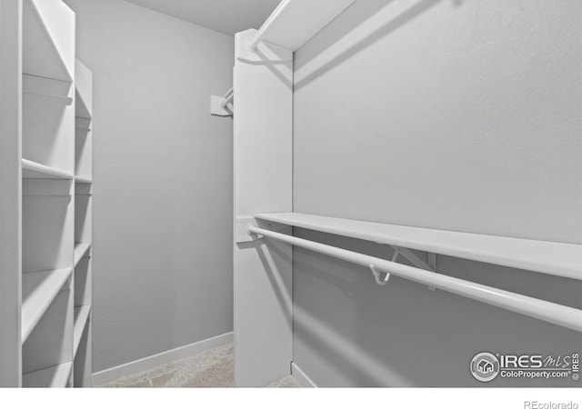 702 S Fulton Ave, Fort Lupton, CO 80621 - walk in closet featuring carpet floors