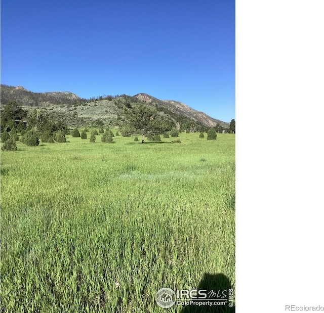 229 Rustic Rd, Bellvue, CO 80512 - view of mountain background featuring rural landscape