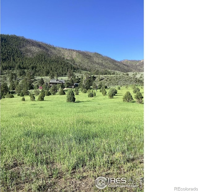 229 Rustic Rd, Bellvue, CO 80512 - view of mountain backdrop with a heavily wooded area and rural landscape
