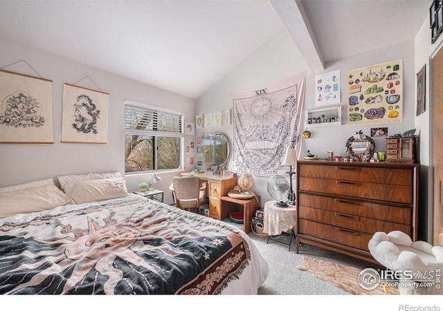 4501 E Boardwalk Dr Unit A9, Fort Collins, CO 80525 - carpeted bedroom featuring vaulted ceiling