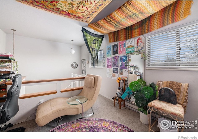 4501 E Boardwalk Dr Unit A9, Fort Collins, CO 80525 - office featuring carpet
