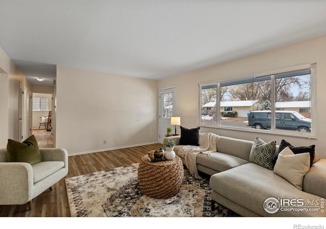 living room featuring plenty of natural light, baseboards, and wood finished floors