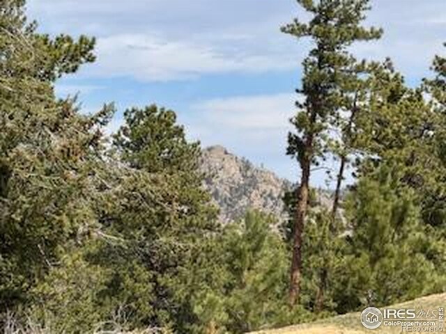 2835 Fox Acres Dr E, Red Feather Lakes, CO 80545