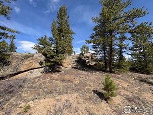 2835 Fox Acres Dr E, Red Feather Lakes, CO 80545